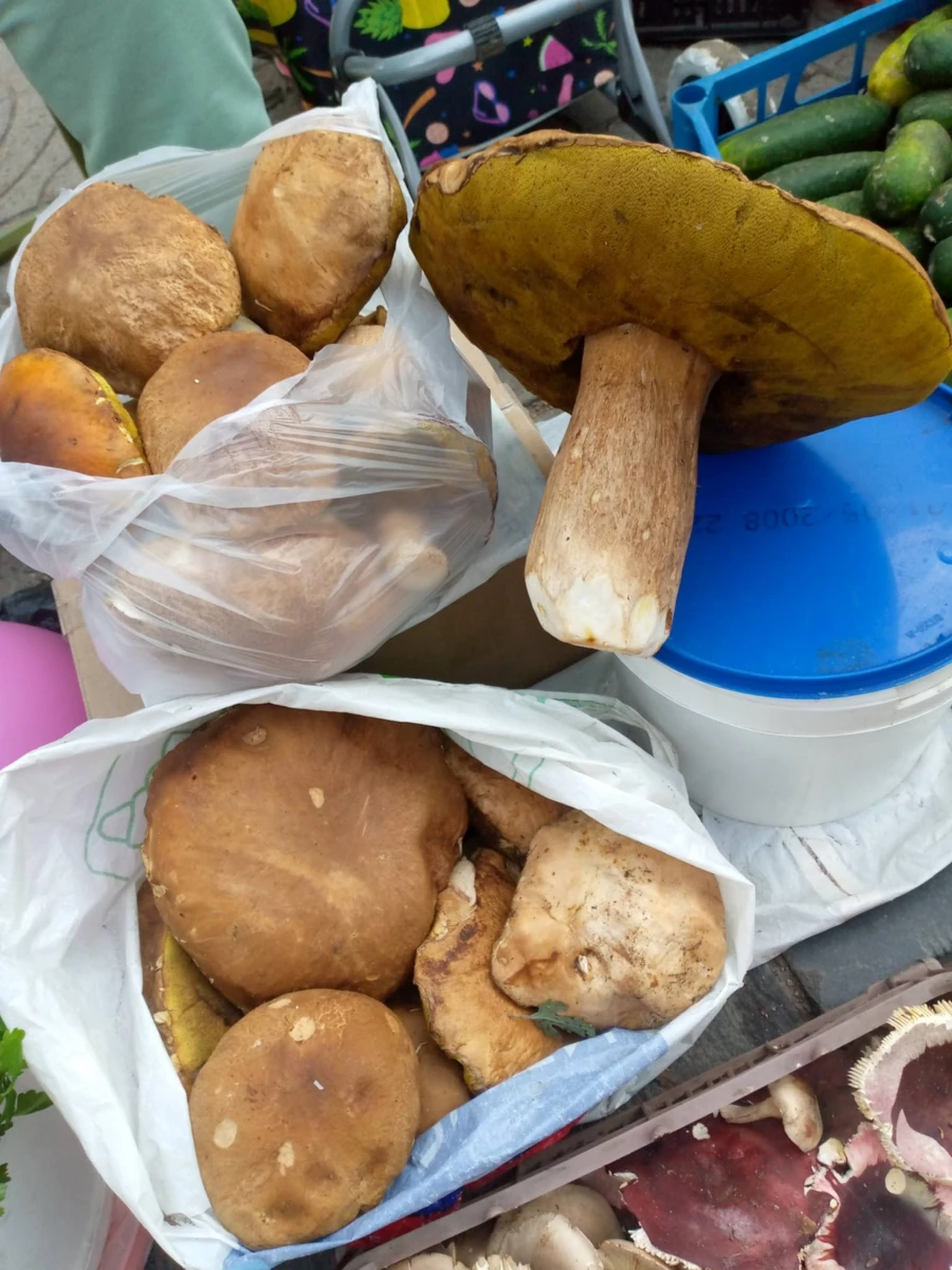 У кошику — гриби, у серці — рідна Нова Каховка