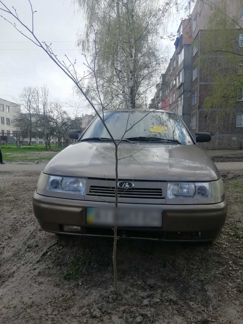 фото Андрія Гомоляко
