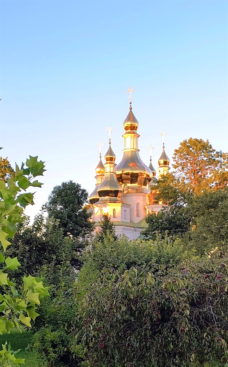 Ярослава Сірик: 