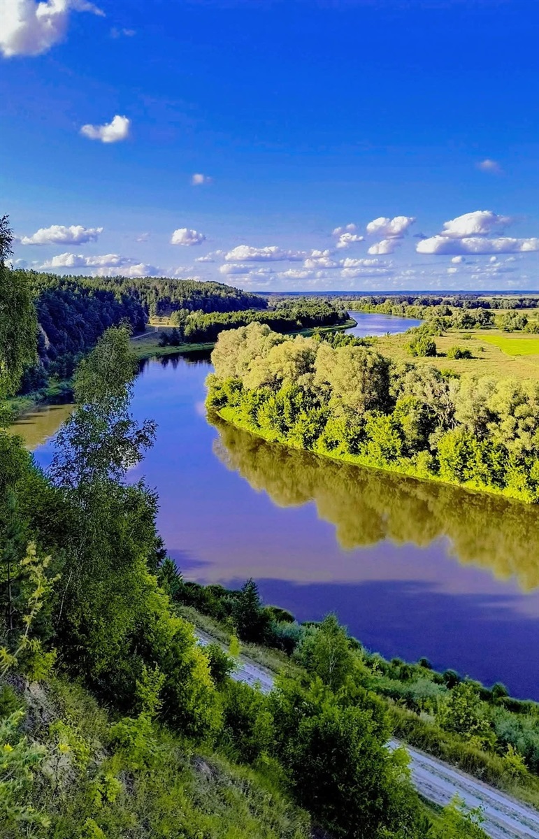 Ярослава Сірик: 