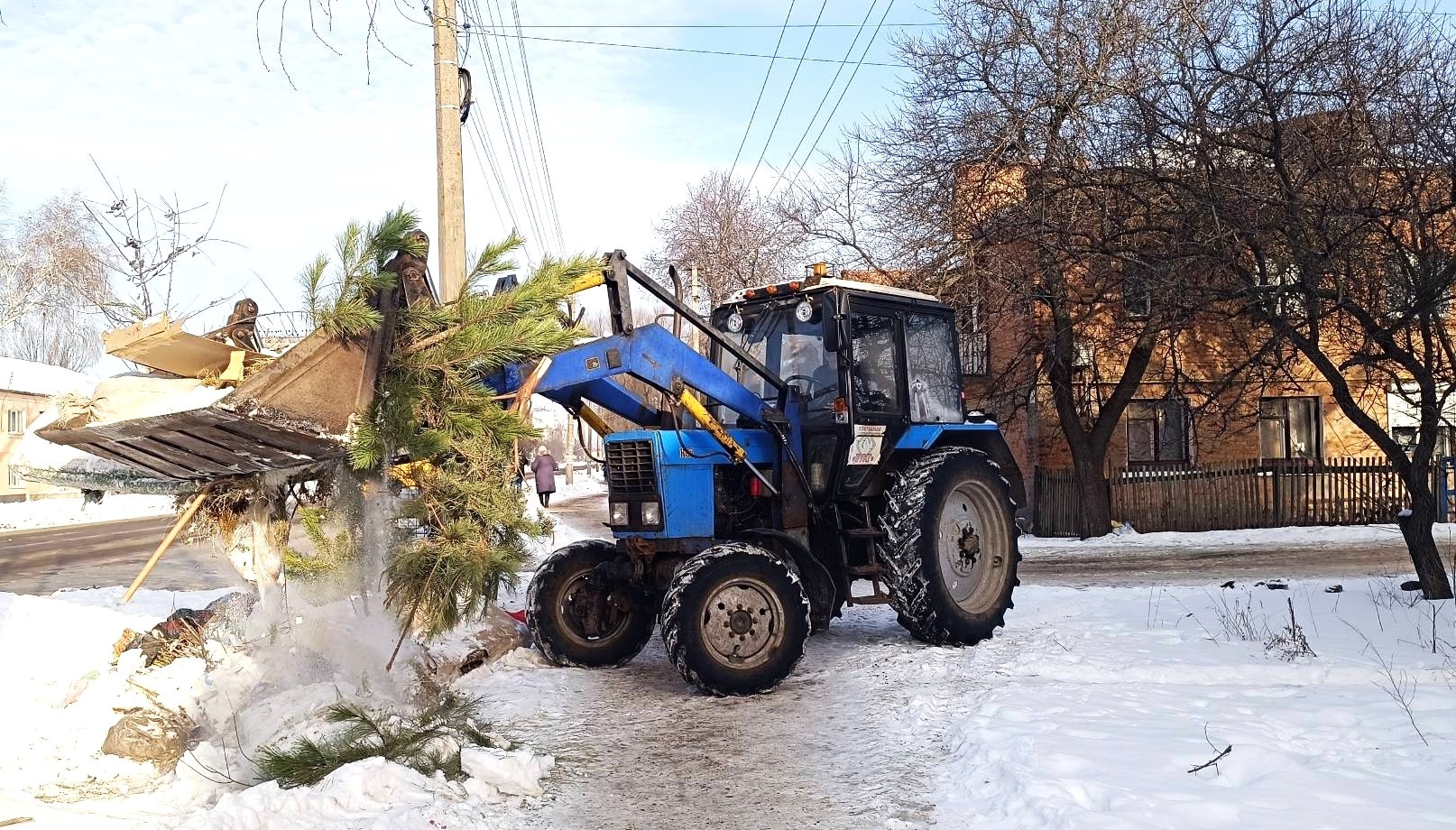 Де подіти ялинку після свят?