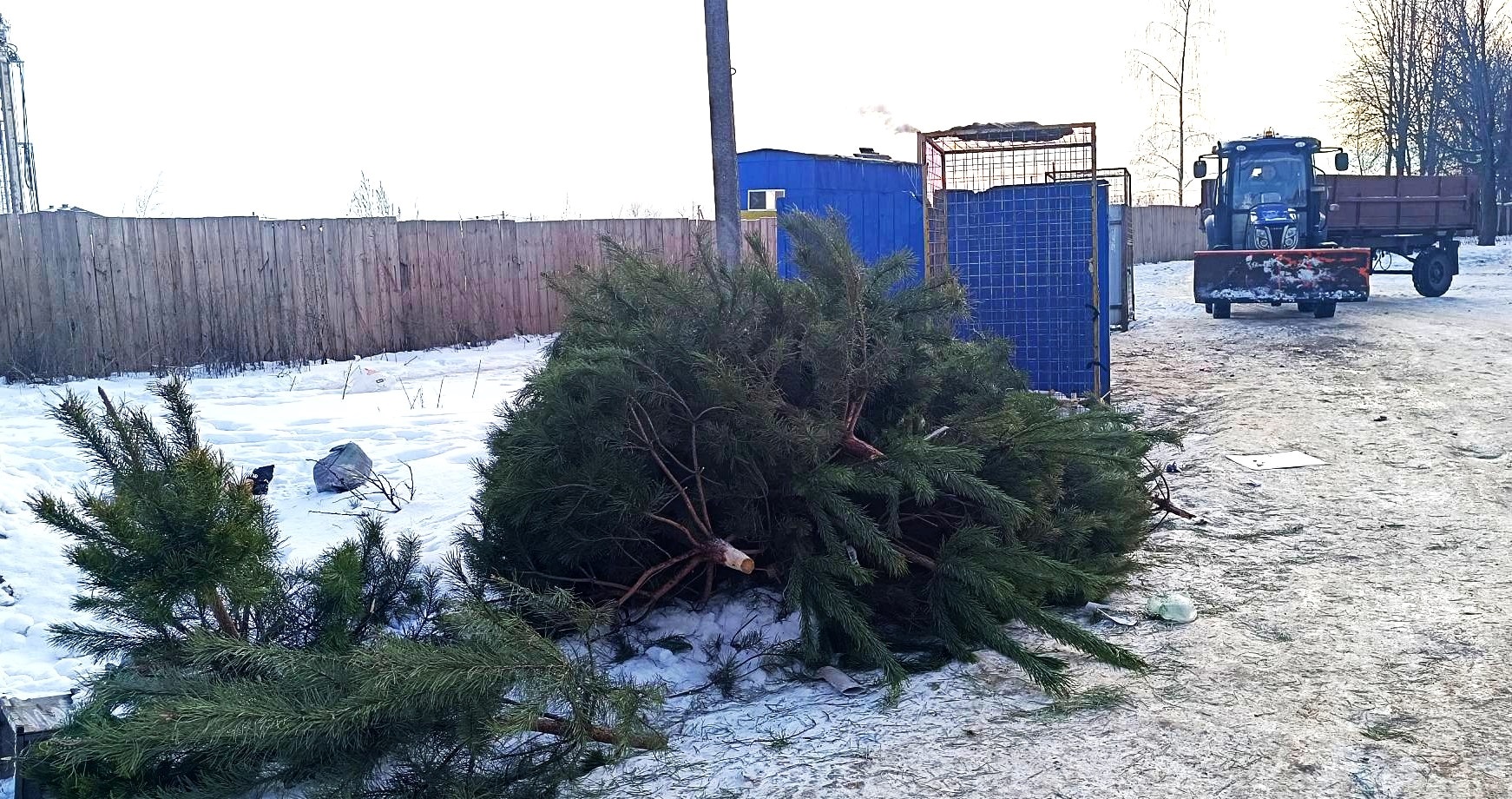 Де подіти ялинку після свят?