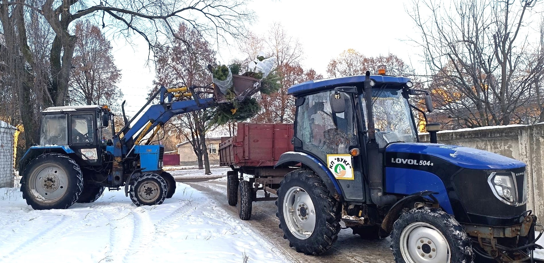 Де подіти ялинку після свят?