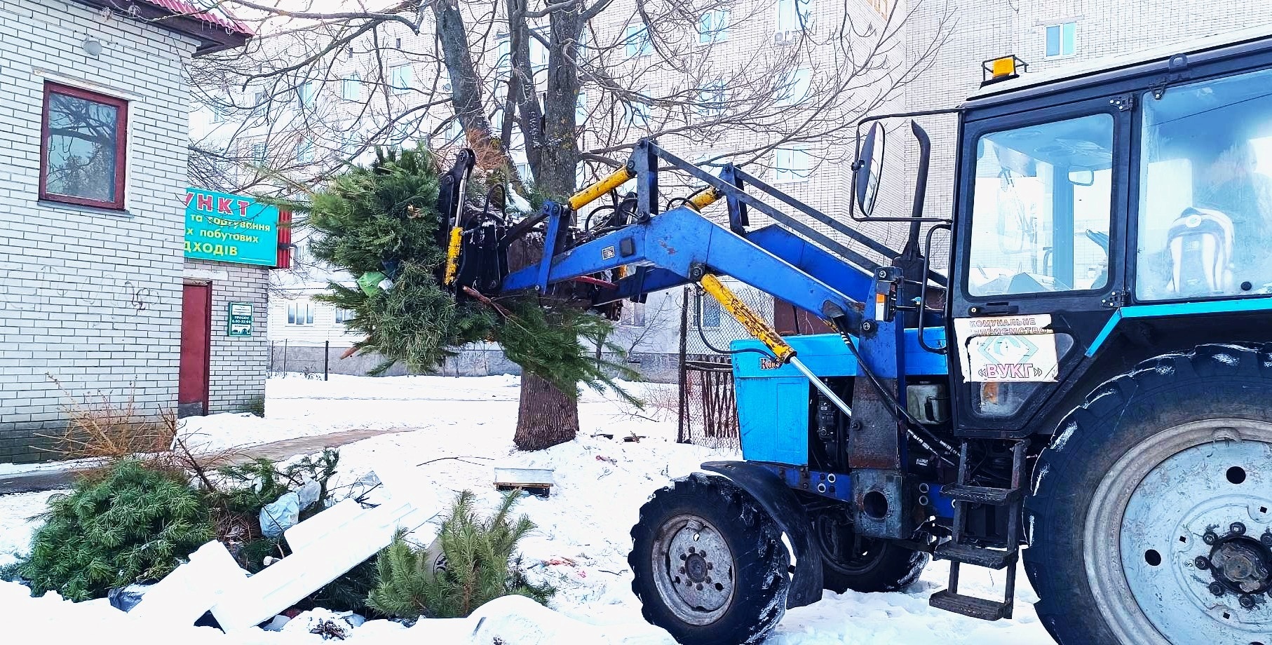 Де подіти ялинку після свят?
