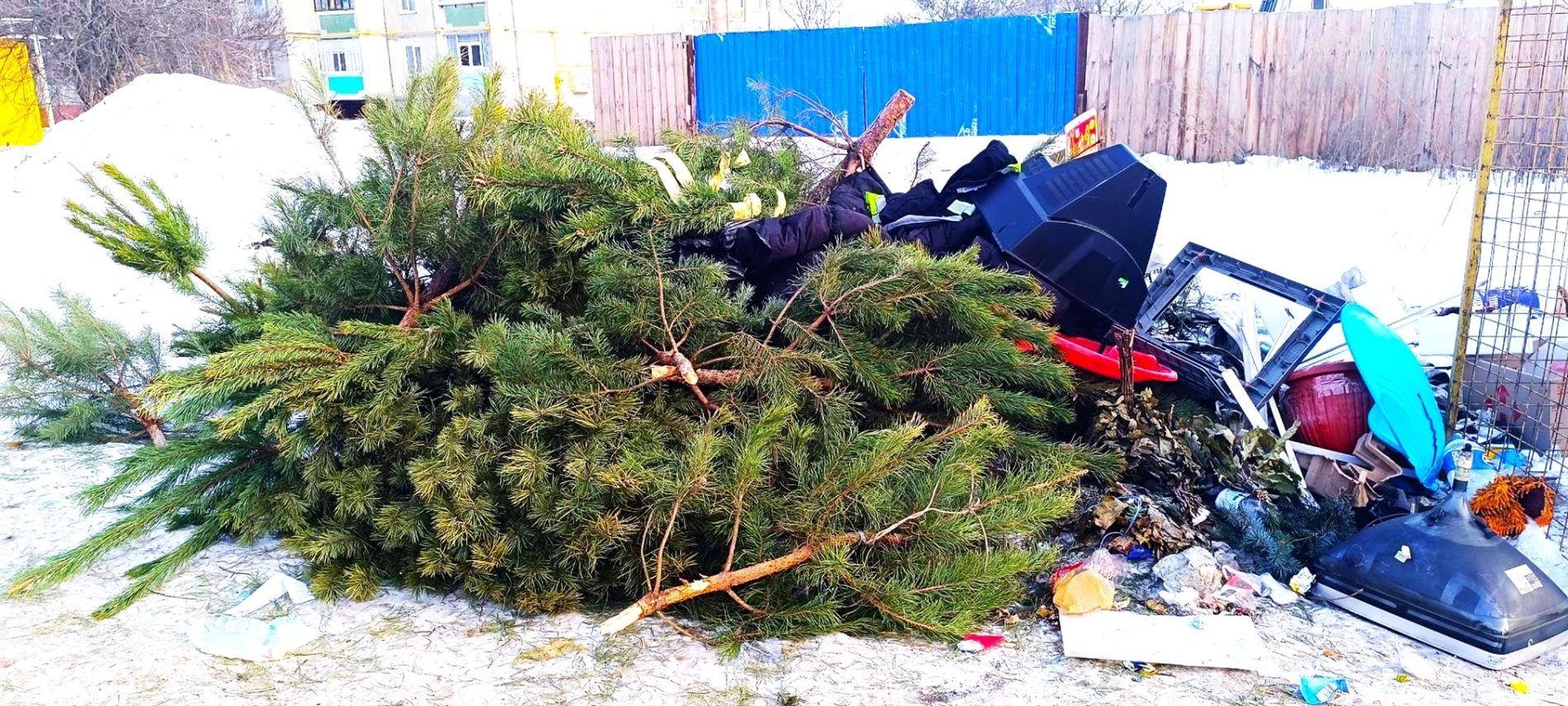 Де подіти ялинку після свят?