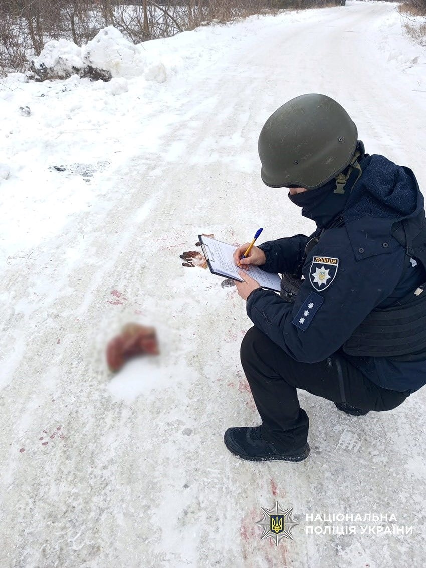 Терористи атакували аграрне підприємство у Вертіївці