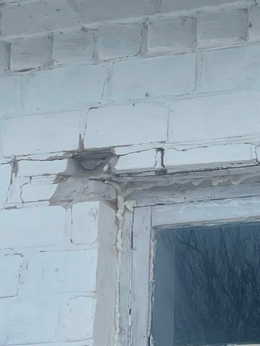 Під ударами шахедів: понівечені будівлі, всіяні уламками подвір'я, загибла худоба