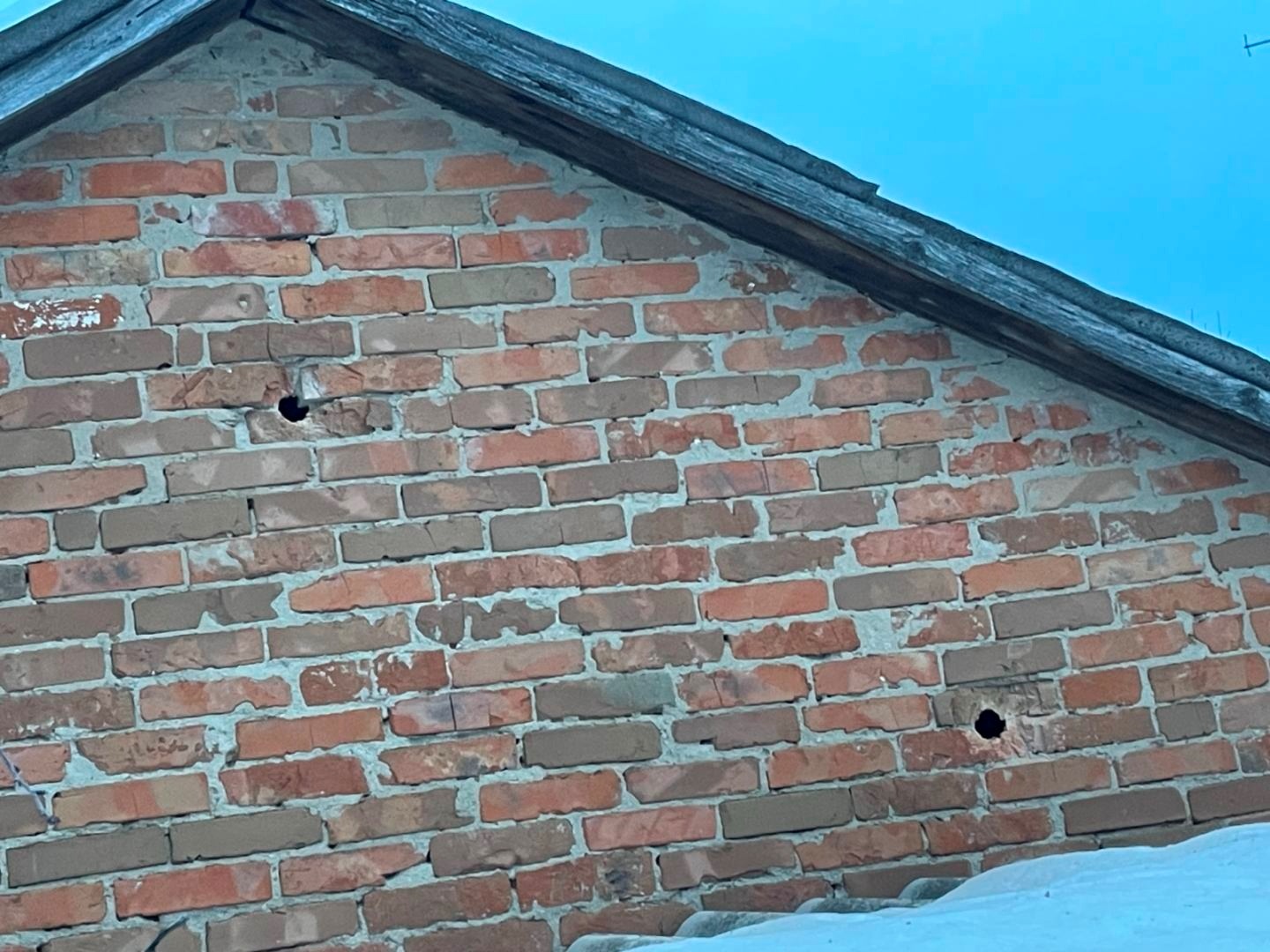 Під ударами шахедів: понівечені будівлі, всіяні уламками подвір'я, загибла худоба