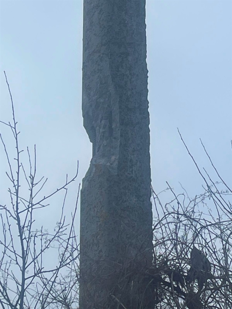 Під ударами шахедів: понівечені будівлі, всіяні уламками подвір'я, загибла худоба