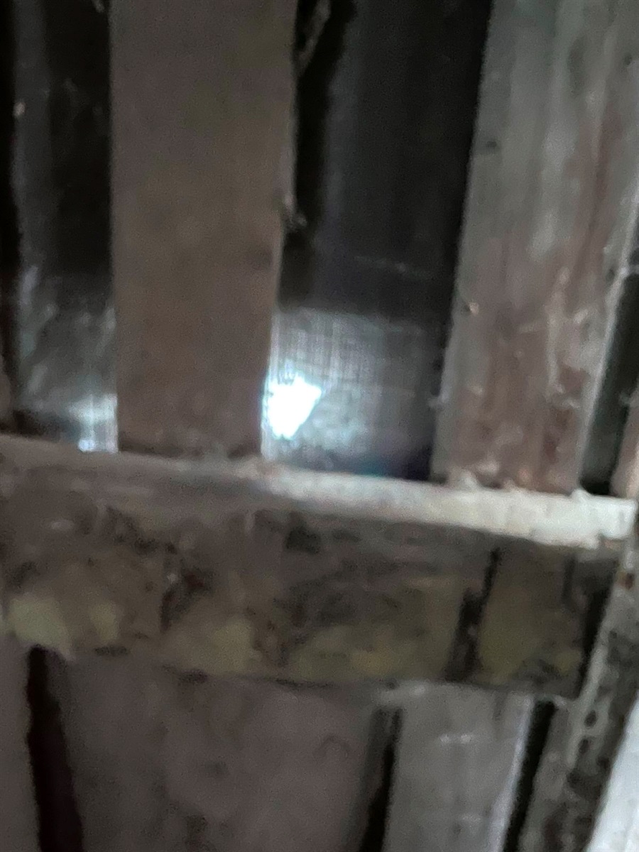 Під ударами шахедів: понівечені будівлі, всіяні уламками подвір'я, загибла худоба