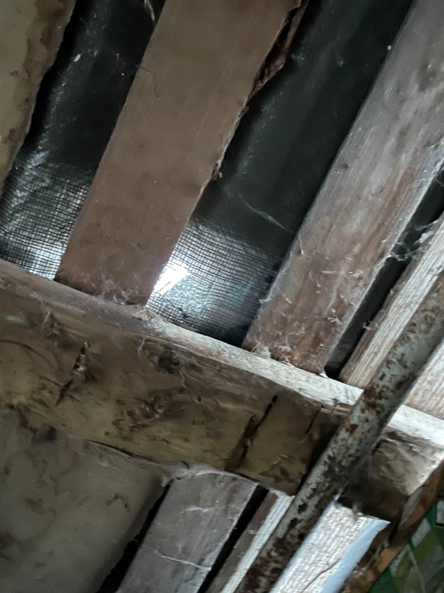 Під ударами шахедів: понівечені будівлі, всіяні уламками подвір'я, загибла худоба