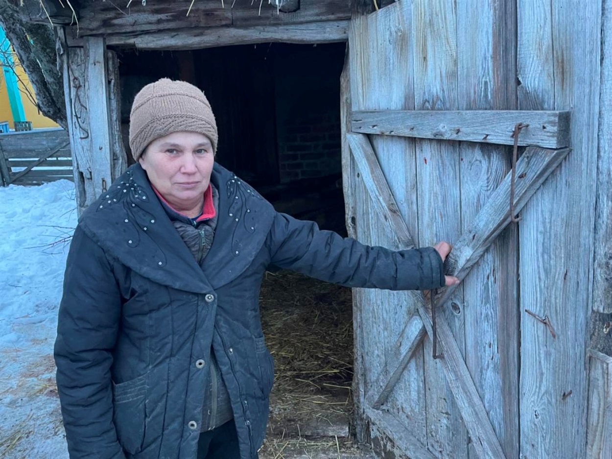 Під ударами шахедів: понівечені будівлі, всіяні уламками подвір'я, загибла худоба