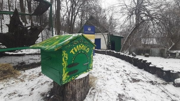 День бабака: яку весну навіщував Тимко