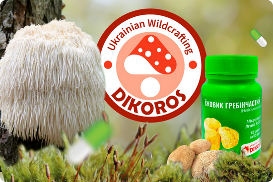Їжовик гребінчастий мікродозинг