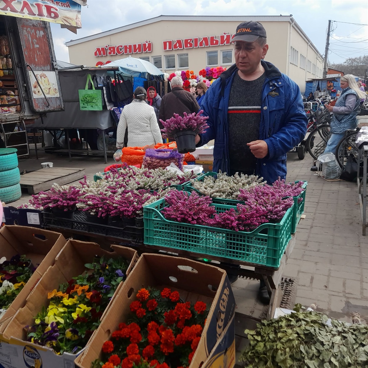 Олександр з «ерікою» і Анюта з «анютиними глазками»...