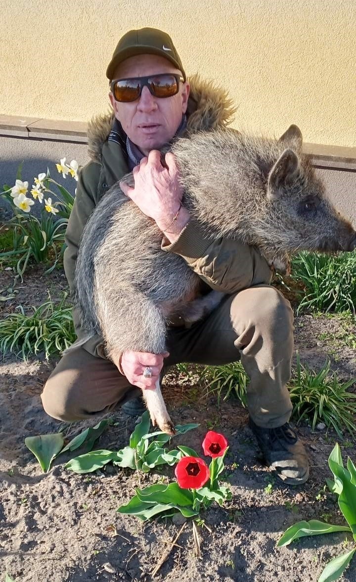 Від фронту до дому: зворушлива історія порятунку дикого малюка